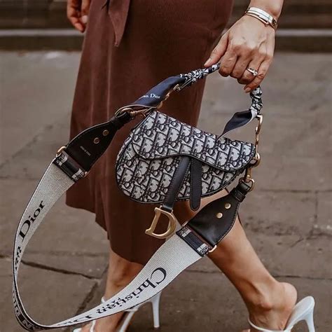 dior magnetic saddle bag